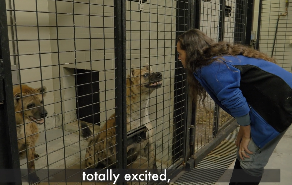 Missy Feeding an Animal