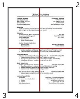 Resume divided into fourths
